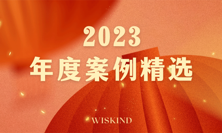 Review 2023, Wiskind steel pro
