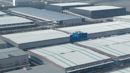 Wiskind supports the construction of modern cold storage and promotes industrial innovation and development(图8)